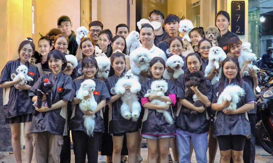 Oreo PetSalon hiện đang “cưng chiều” hơn 20 bé Bichon